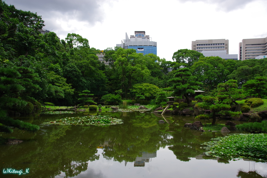 慶沢園（天王寺公園内）の画像の枚目