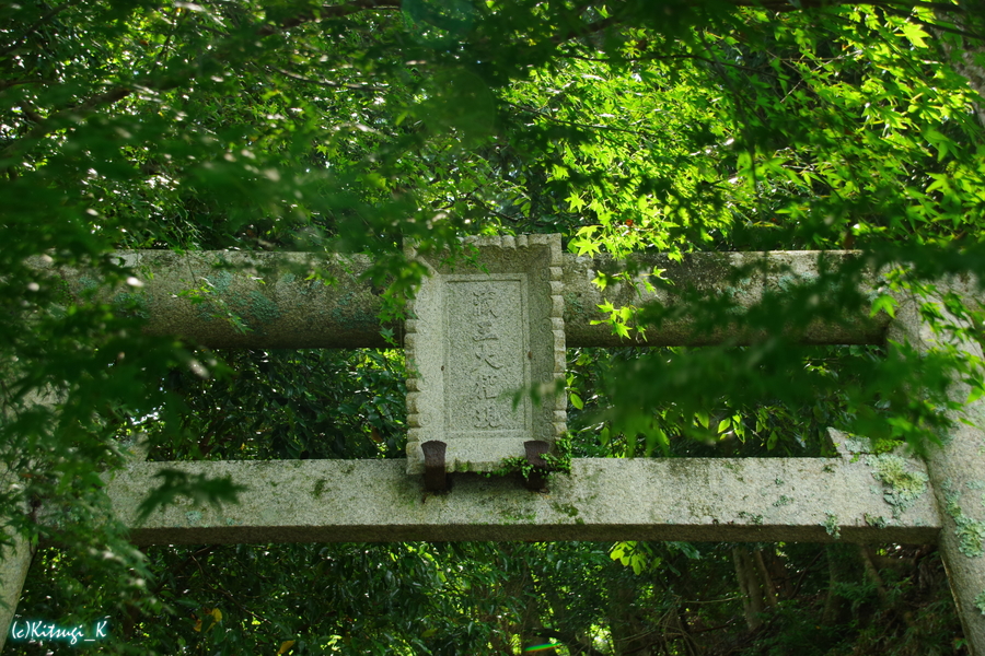 京都嵐山_保津川沿いの画像の枚目