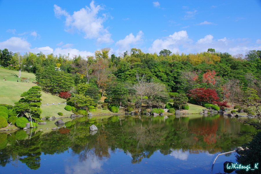 万博記念公園_日本庭園_晩秋の画像の枚目