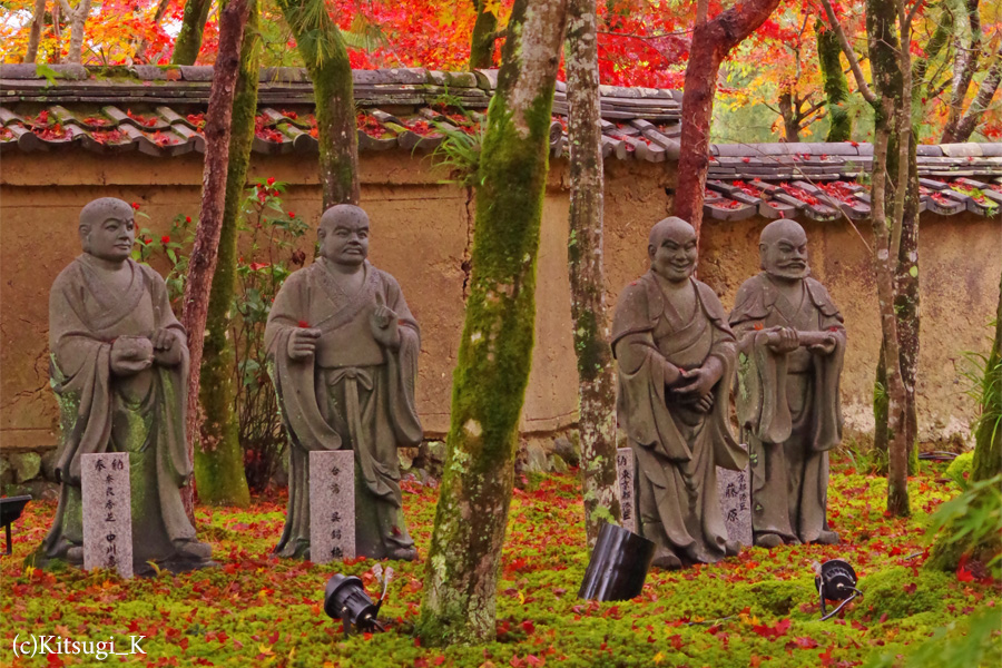 晩秋の『宝厳院』-紅葉見ごろの画像の枚目