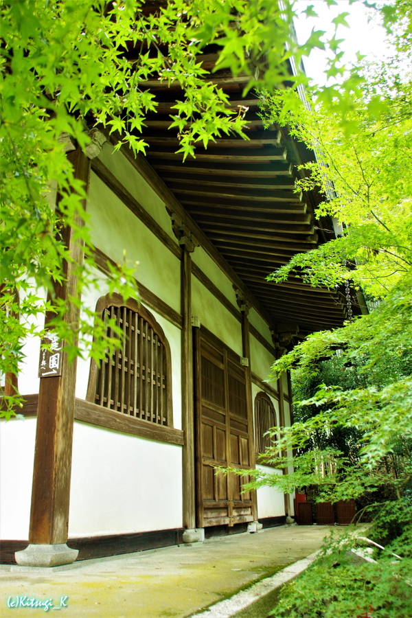 竹の寺・地蔵院の画像の枚目